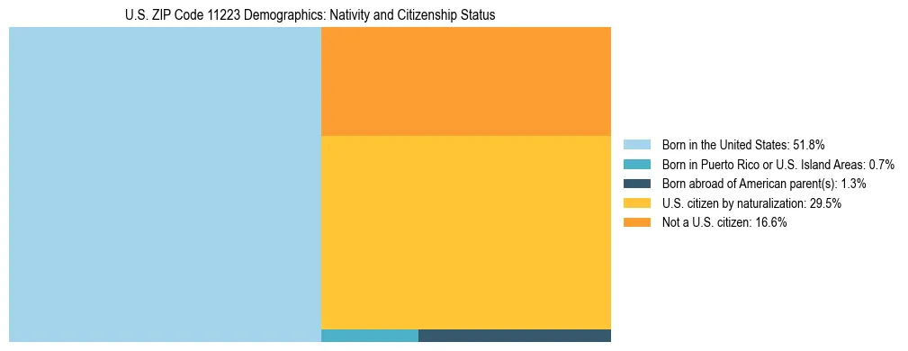 Treemap showing the population distribution by nativity and citizenship status in US ZIP Code 11223 based on U.S. Census data.