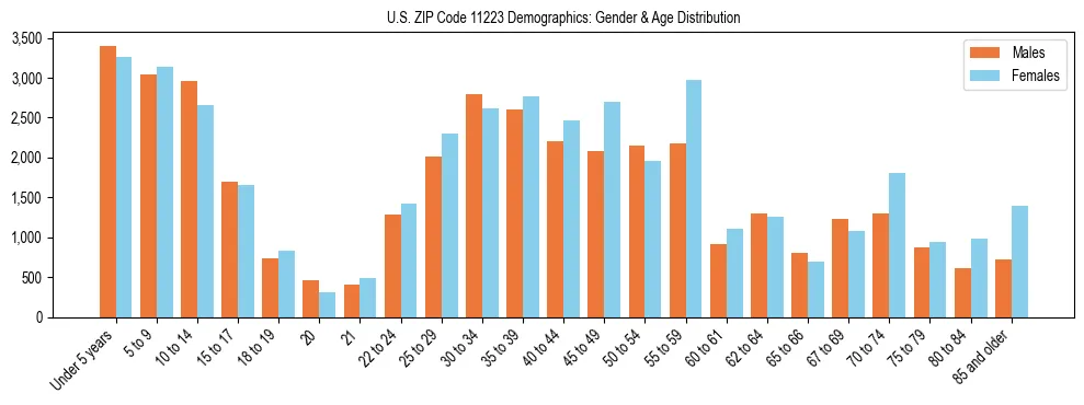 Bar chart showing the population distribution of US ZIP Code 11223 by age group and gender, based on 2023 ACS data.