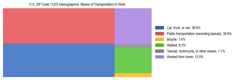 Treemap showing means of transportation to work distribution in US ZIP Code 11223.