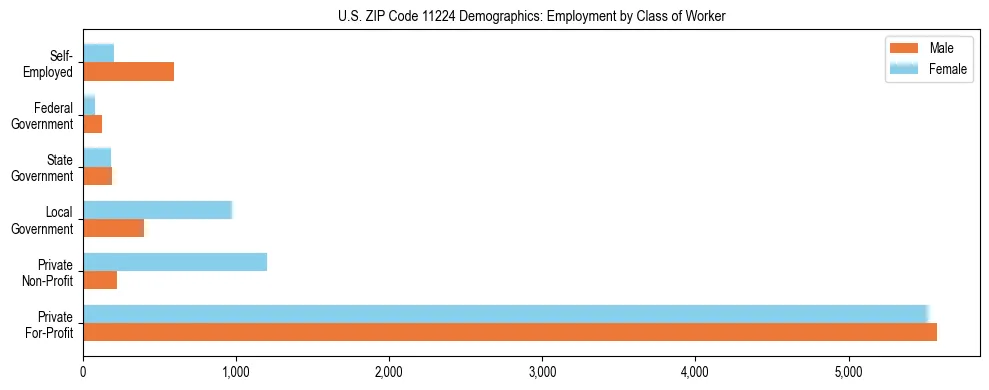 Horizontal bar chart showing employment distribution by class of worker and gender in US ZIP Code 11224, based on 2023 ACS data.