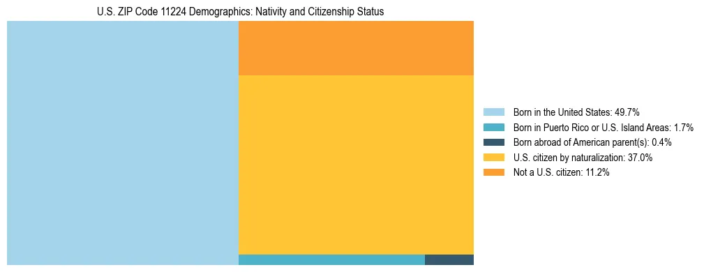 Treemap showing the population distribution by nativity and citizenship status in US ZIP Code 11224 based on U.S. Census data.