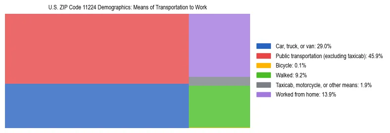 Treemap showing means of transportation to work distribution in US ZIP Code 11224.