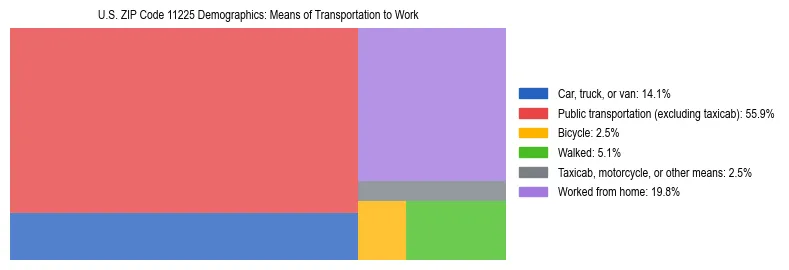 Treemap showing means of transportation to work distribution in US ZIP Code 11225.