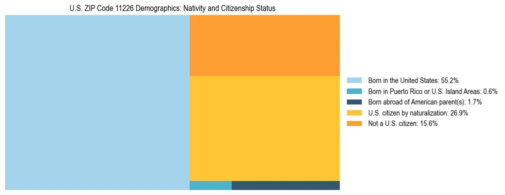Treemap showing the population distribution by nativity and citizenship status in US ZIP Code 11226 based on U.S. Census data.