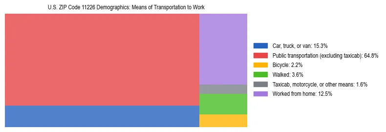 Treemap showing means of transportation to work distribution in US ZIP Code 11226.