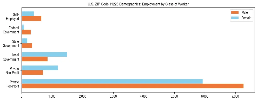Horizontal bar chart showing employment distribution by class of worker and gender in US ZIP Code 11228, based on 2023 ACS data.