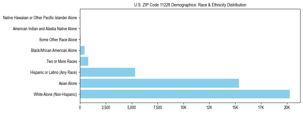 Race and Ethnicity Distribution Chart for US ZIP Code 11228