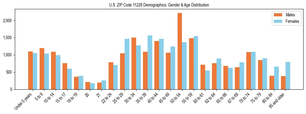 Bar chart showing the population distribution of US ZIP Code 11228 by age group and gender, based on 2023 ACS data.