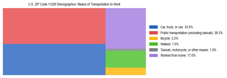 Treemap showing means of transportation to work distribution in US ZIP Code 11228.