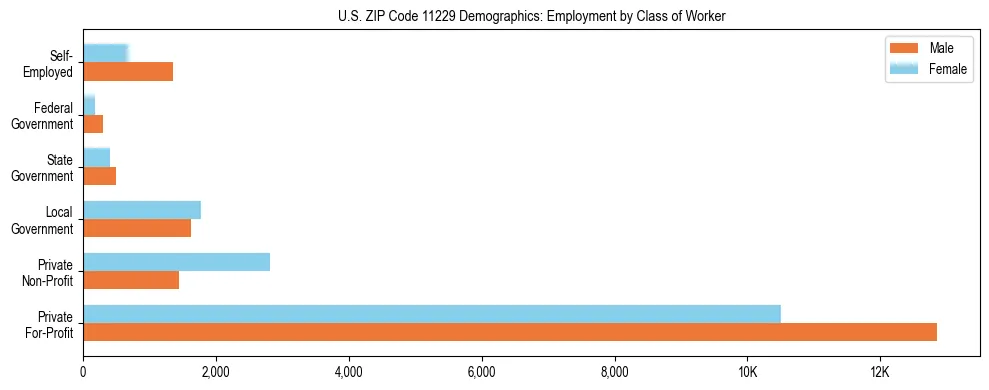 Horizontal bar chart showing employment distribution by class of worker and gender in US ZIP Code 11229, based on 2023 ACS data.