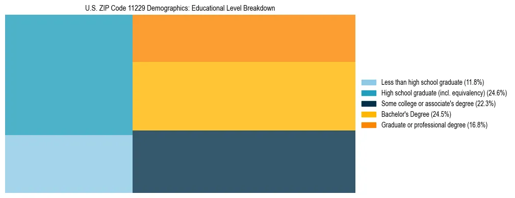 Treemap chart illustrating the educational attainment breakdown for population 25 years and over in US ZIP Code 11229.