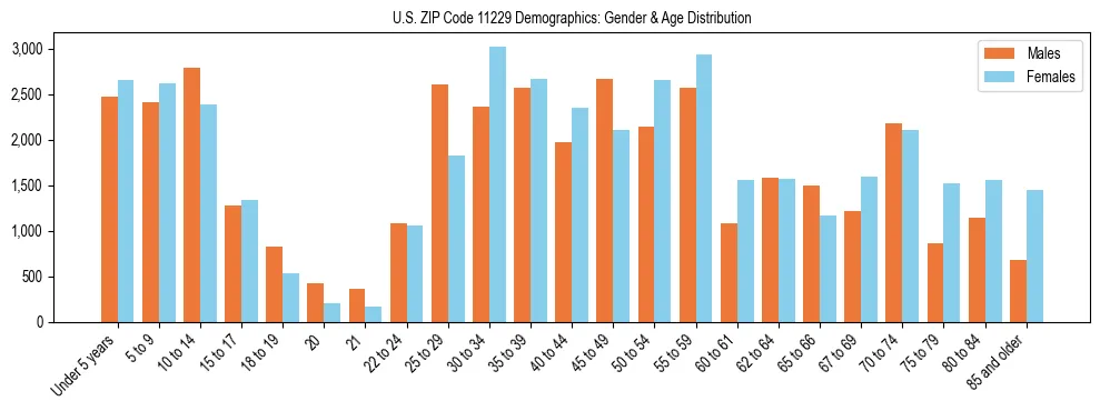 Bar chart showing the population distribution of US ZIP Code 11229 by age group and gender, based on 2023 ACS data.
