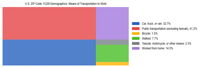 Treemap showing means of transportation to work distribution in US ZIP Code 11229.