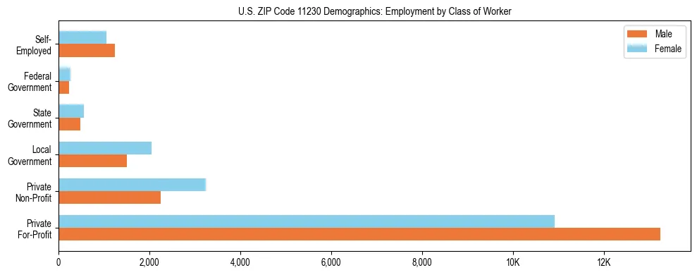 Horizontal bar chart showing employment distribution by class of worker and gender in US ZIP Code 11230, based on 2023 ACS data.