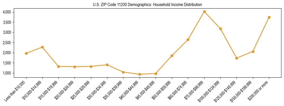 Horizontal bar chart showing household income distribution in US ZIP Code 11230.