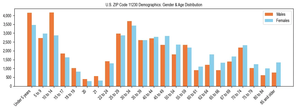 Bar chart showing the population distribution of US ZIP Code 11230 by age group and gender, based on 2023 ACS data.
