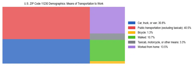 Treemap showing means of transportation to work distribution in US ZIP Code 11230.