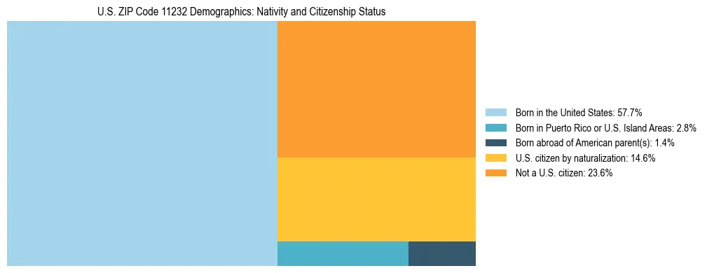 Treemap showing the population distribution by nativity and citizenship status in US ZIP Code 11232 based on U.S. Census data.