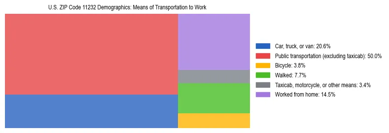 Treemap showing means of transportation to work distribution in US ZIP Code 11232.
