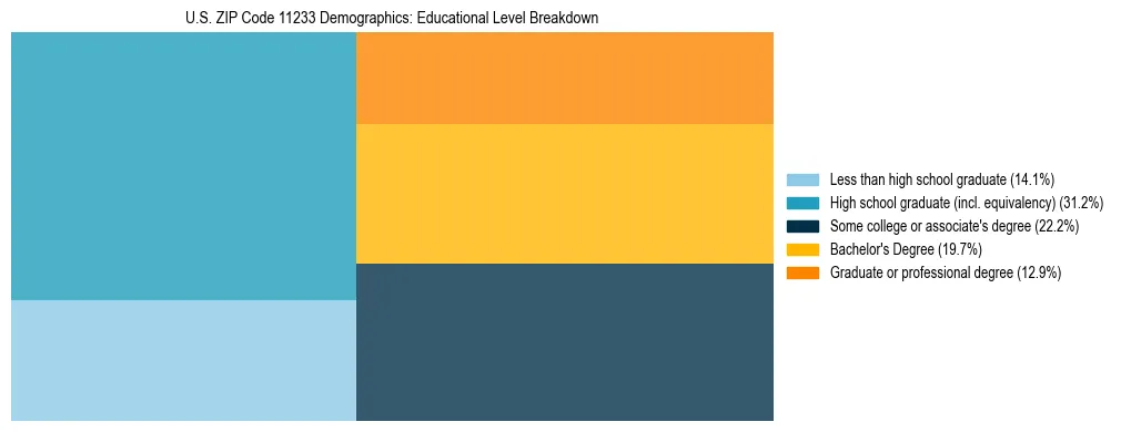 Treemap chart illustrating the educational attainment breakdown for population 25 years and over in US ZIP Code 11233.