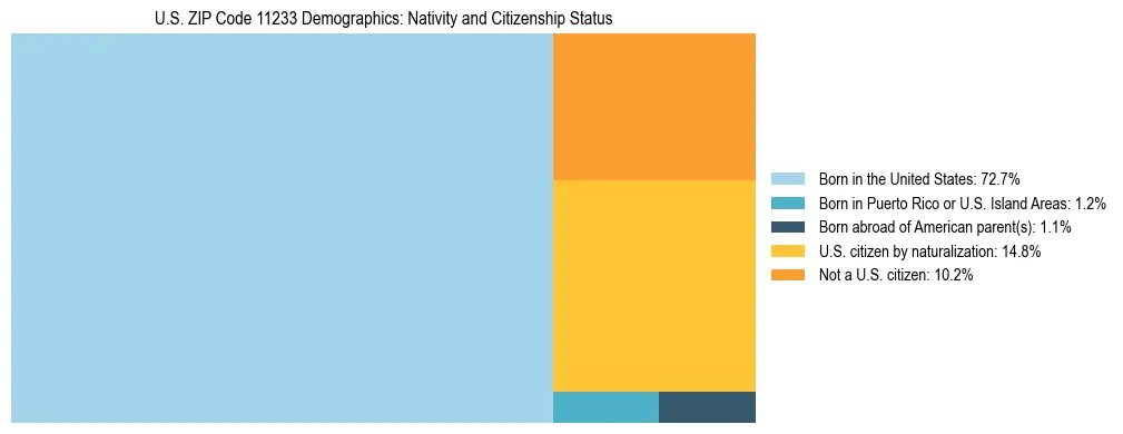 Treemap showing the population distribution by nativity and citizenship status in US ZIP Code 11233 based on U.S. Census data.