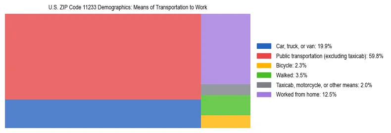 Treemap showing means of transportation to work distribution in US ZIP Code 11233.