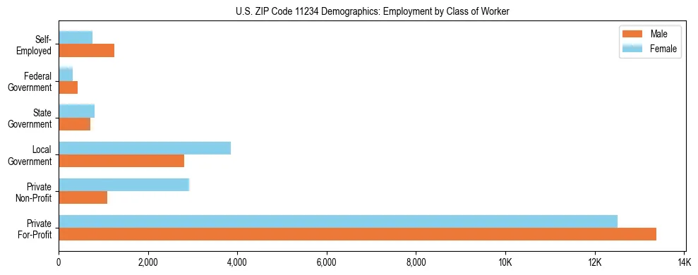 Horizontal bar chart showing employment distribution by class of worker and gender in US ZIP Code 11234, based on 2023 ACS data.