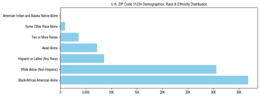 Race and Ethnicity Distribution Chart for US ZIP Code 11234