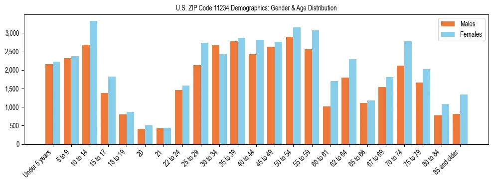 Bar chart showing the population distribution of US ZIP Code 11234 by age group and gender, based on 2023 ACS data.