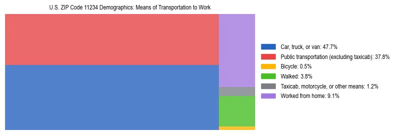 Treemap showing means of transportation to work distribution in US ZIP Code 11234.