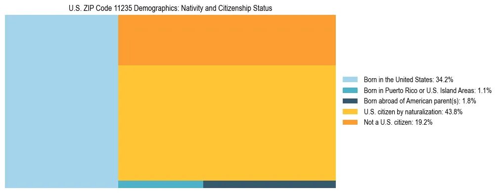 Treemap showing the population distribution by nativity and citizenship status in US ZIP Code 11235 based on U.S. Census data.