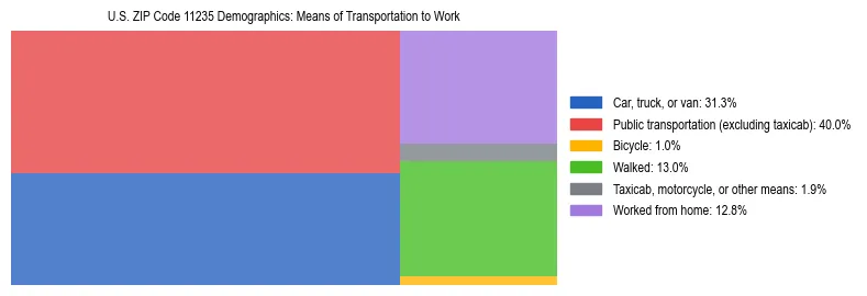 Treemap showing means of transportation to work distribution in US ZIP Code 11235.