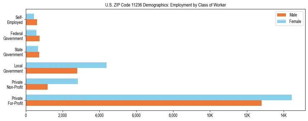 Horizontal bar chart showing employment distribution by class of worker and gender in US ZIP Code 11236, based on 2023 ACS data.