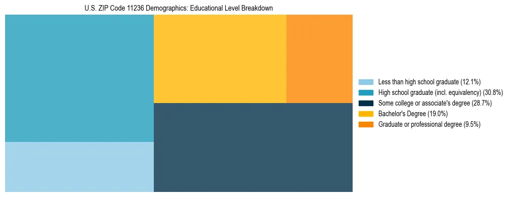 Treemap chart illustrating the educational attainment breakdown for population 25 years and over in US ZIP Code 11236.