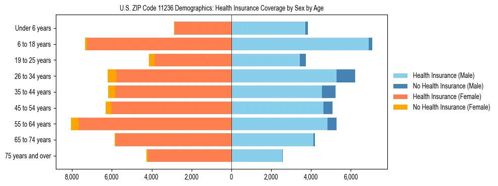 Pyramid chart showing health insurance coverage by age and sex in US ZIP Code 11236.
