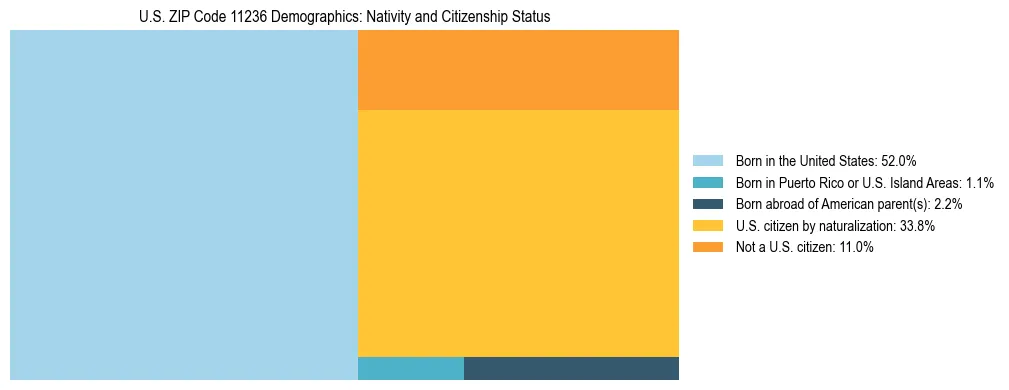 Treemap showing the population distribution by nativity and citizenship status in US ZIP Code 11236 based on U.S. Census data.
