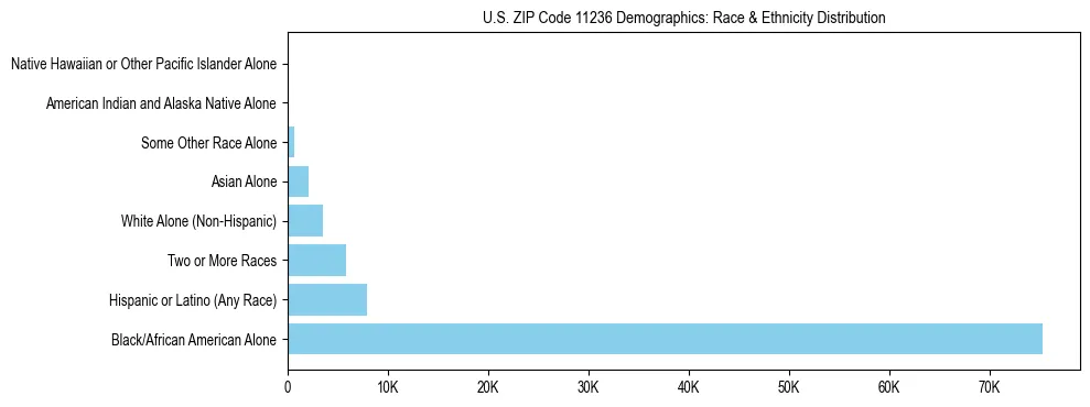 Race and Ethnicity Distribution Chart for US ZIP Code 11236