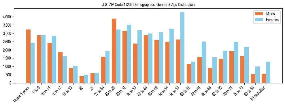 Bar chart showing the population distribution of US ZIP Code 11236 by age group and gender, based on 2023 ACS data.