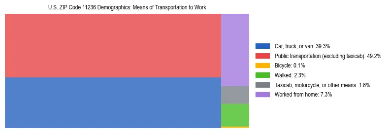 Treemap showing means of transportation to work distribution in US ZIP Code 11236.