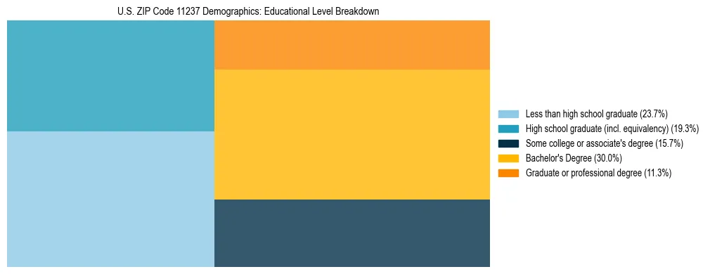 Treemap chart illustrating the educational attainment breakdown for population 25 years and over in US ZIP Code 11237.