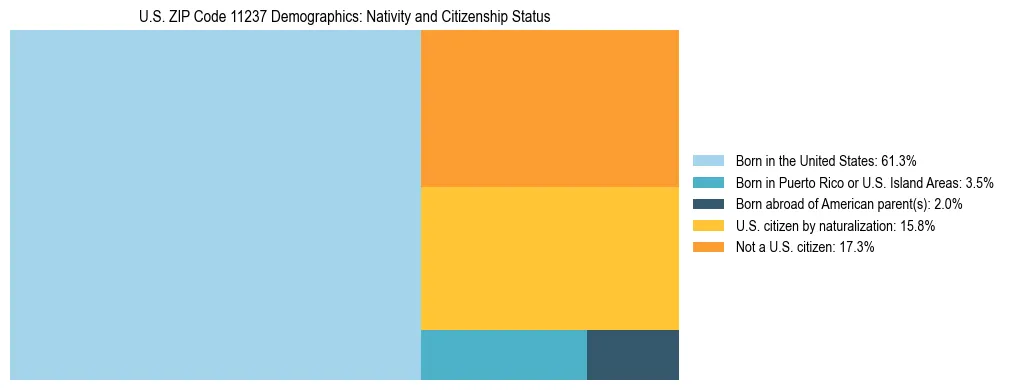 Treemap showing the population distribution by nativity and citizenship status in US ZIP Code 11237 based on U.S. Census data.