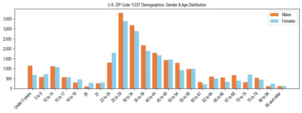 Bar chart showing the population distribution of US ZIP Code 11237 by age group and gender, based on 2023 ACS data.
