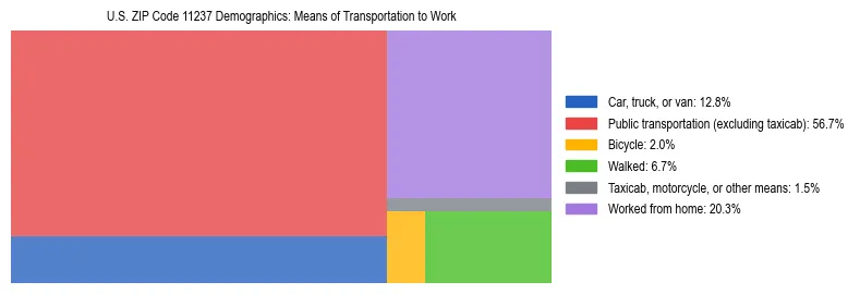 Treemap showing means of transportation to work distribution in US ZIP Code 11237.