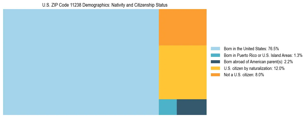Treemap showing the population distribution by nativity and citizenship status in US ZIP Code 11238 based on U.S. Census data.