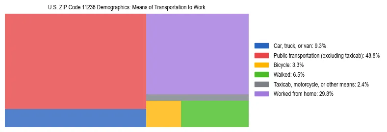 Treemap showing means of transportation to work distribution in US ZIP Code 11238.
