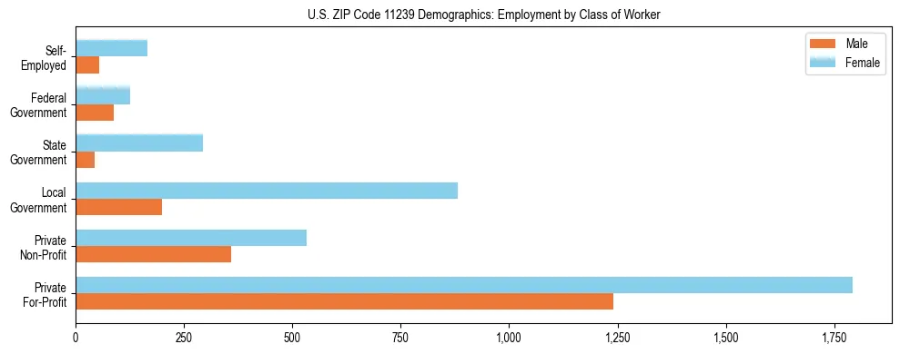 Horizontal bar chart showing employment distribution by class of worker and gender in US ZIP Code 11239, based on 2023 ACS data.