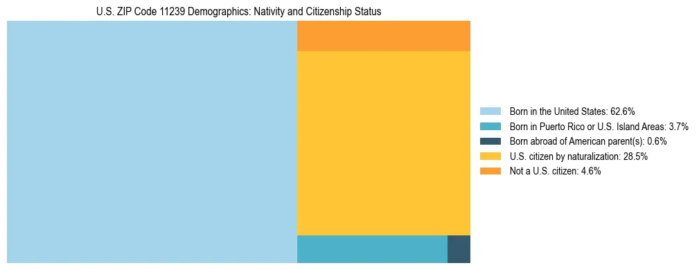 Treemap showing the population distribution by nativity and citizenship status in US ZIP Code 11239 based on U.S. Census data.