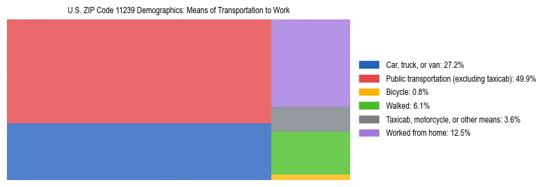 Treemap showing means of transportation to work distribution in US ZIP Code 11239.