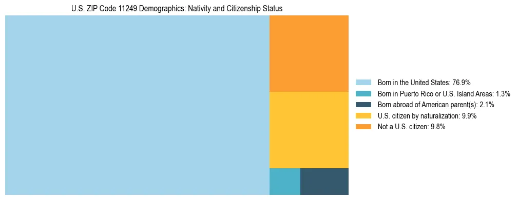 Treemap showing the population distribution by nativity and citizenship status in US ZIP Code 11249 based on U.S. Census data.