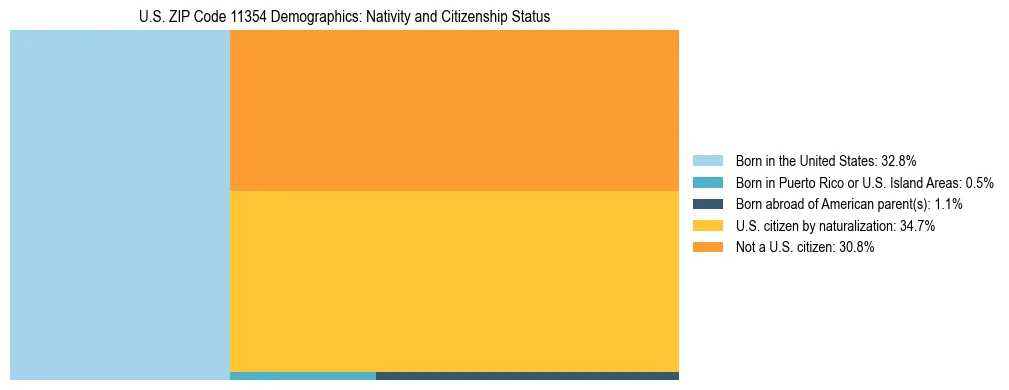 Treemap showing the population distribution by nativity and citizenship status in US ZIP Code 11354 based on U.S. Census data.